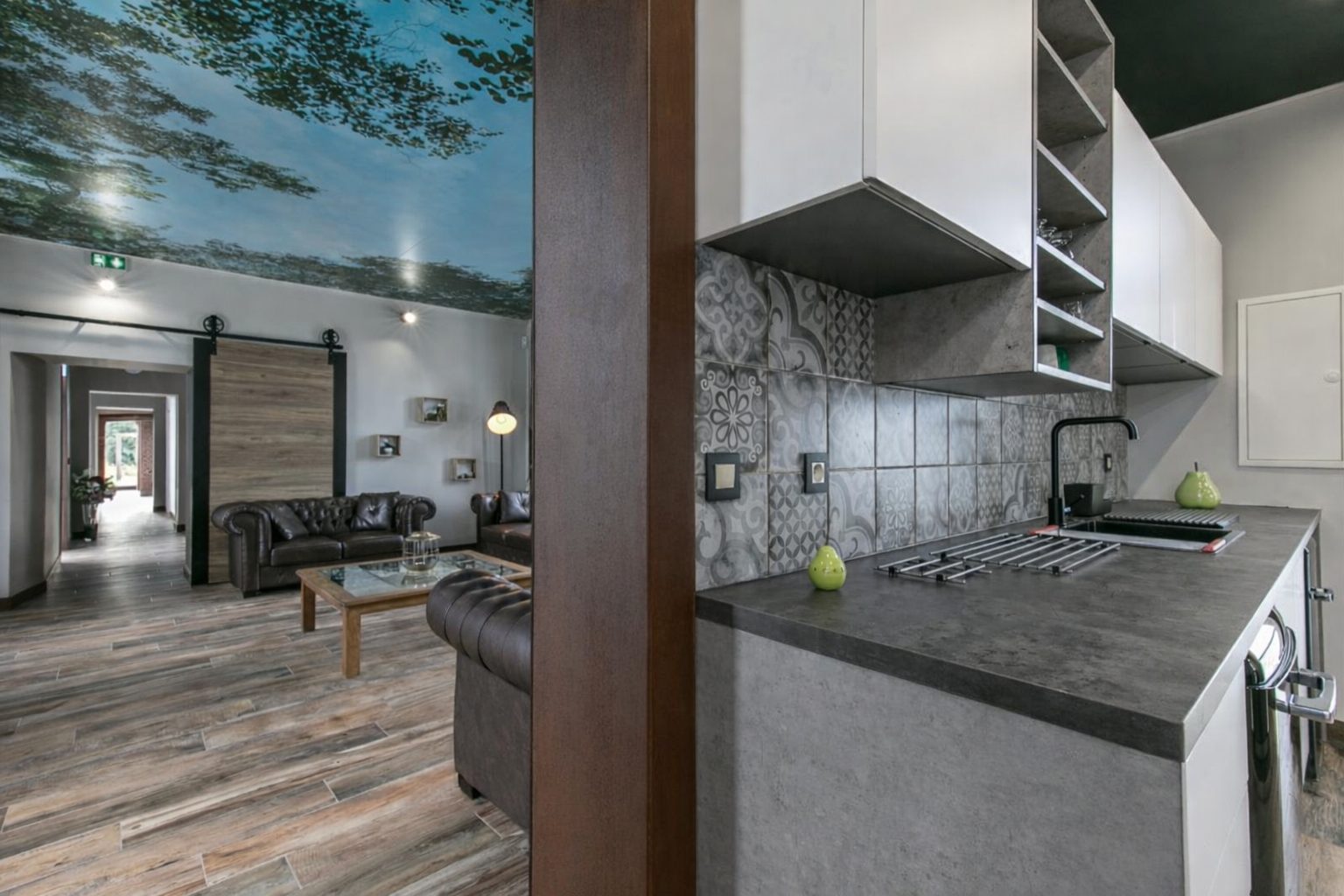 Cuisine ouverte sur le salon
