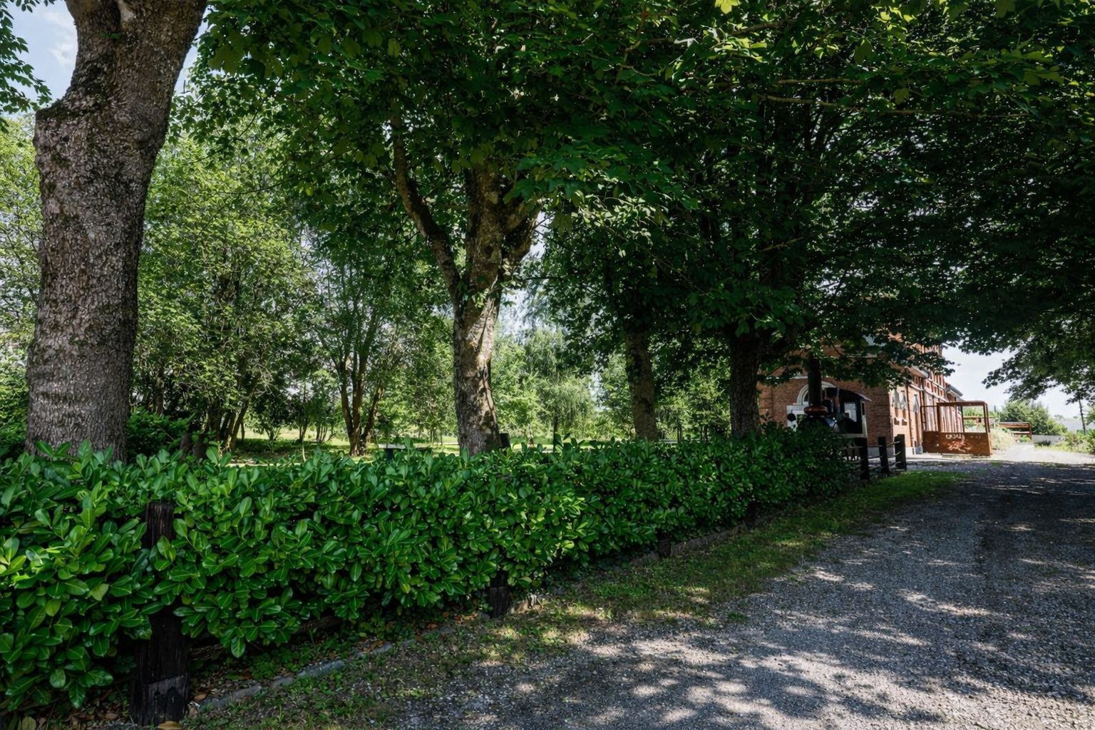 Allée d’accès et parking du gîte